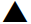 A triangle icon.